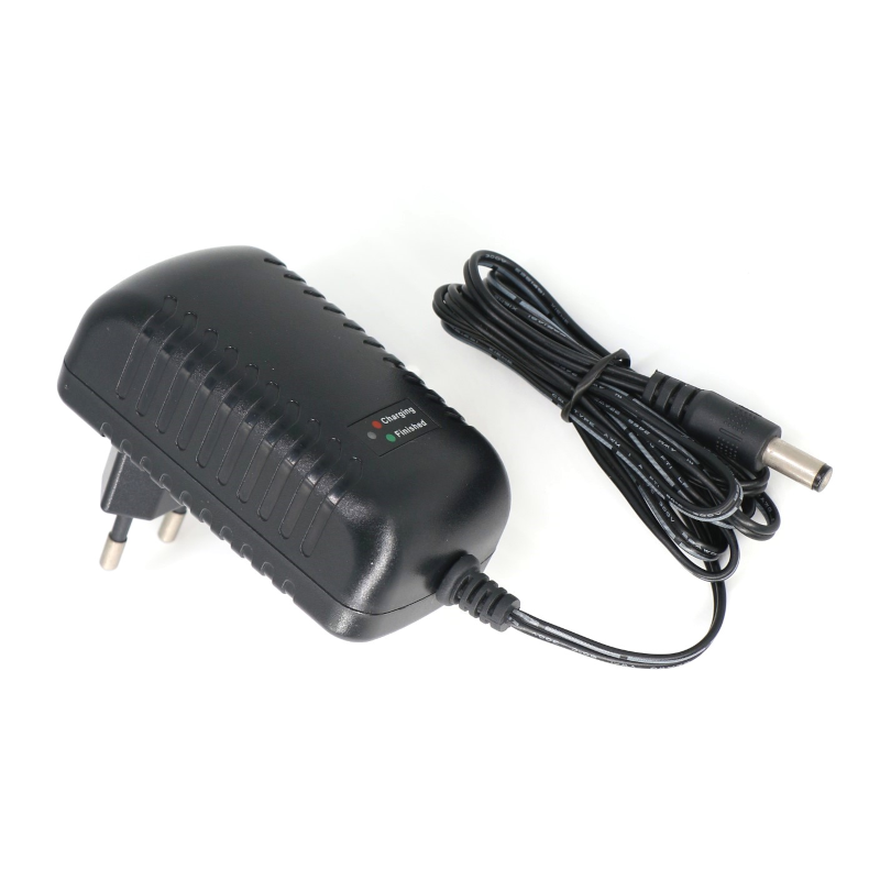 P2012 20W battery charger