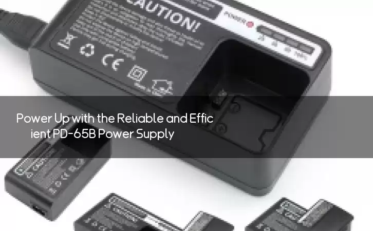 Power Up with the Reliable and Efficient PD-65B Power Supply